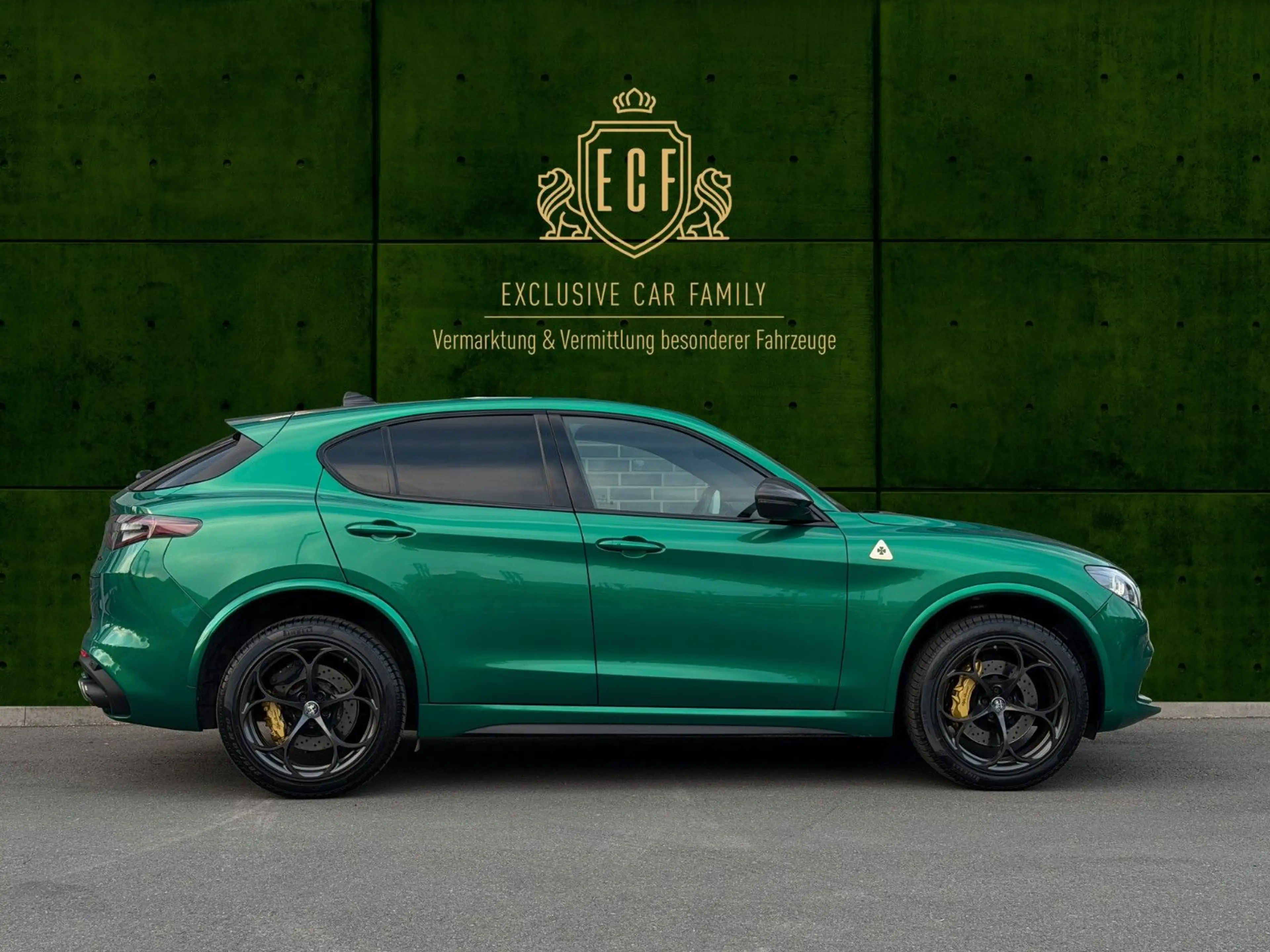 Alfa Romeo Stelvio Quadrifoglio 1 of 100 Anniversario — photo 4