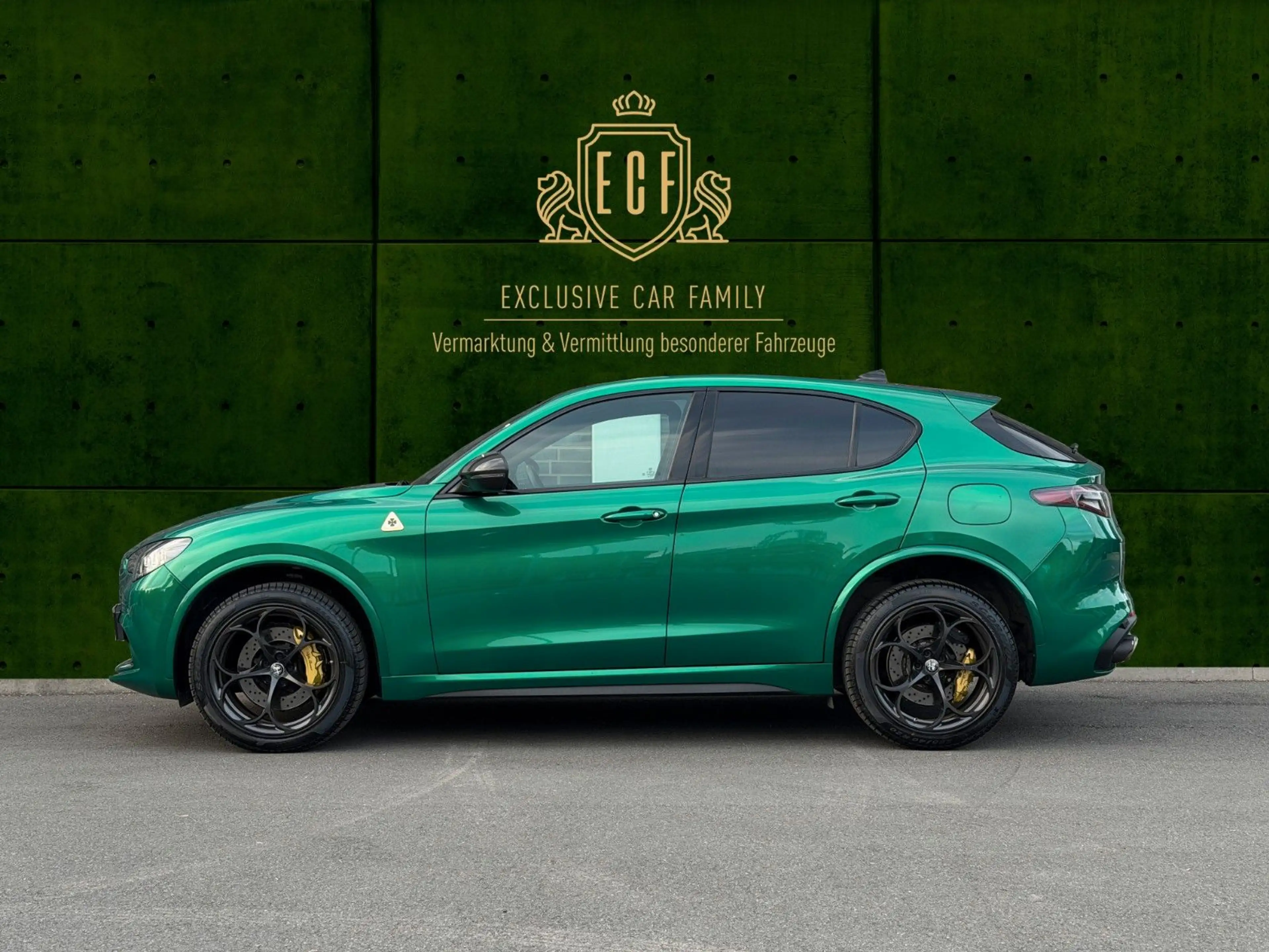 Alfa Romeo Stelvio Quadrifoglio 1 of 100 Anniversario — photo 3