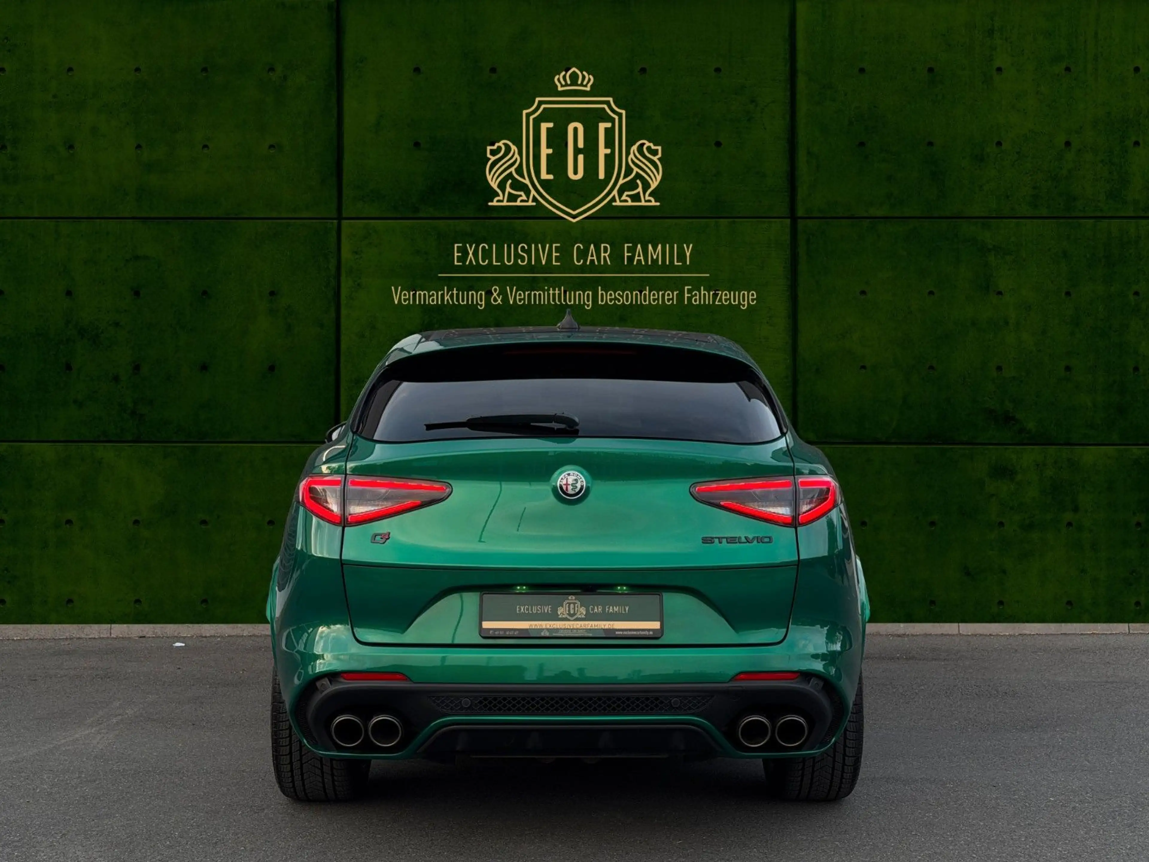 Alfa Romeo Stelvio Quadrifoglio 1 of 100 Anniversario — photo 5