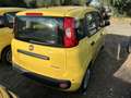 Fiat Panda Panda 1.0 FireFly S&S Hybrid Pop Jaune - thumbnail 5