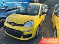 Fiat Panda Panda 1.0 FireFly S&S Hybrid Pop Jaune - thumbnail 1