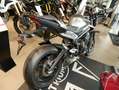 Triumph Sofort Verfügbar Silber - thumbnail 4