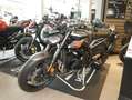 Triumph Sofort Verfügbar Silber - thumbnail 2