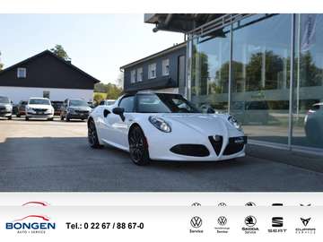 Spider Vollausstattung Leder Carbon
