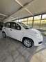 Fiat Panda 1.2 Lounge 69cv E6 Blanc - thumbnail 4