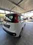 Fiat Panda 1.2 Lounge 69cv E6 Blanc - thumbnail 5