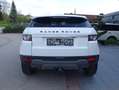 Land Rover Range Rover Evoque Prestige 2,2 SD4 Prestige Weiß - thumbnail 5