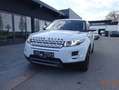Land Rover Range Rover Evoque Prestige 2,2 SD4 Prestige Weiß - thumbnail 2