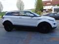 Land Rover Range Rover Evoque Prestige 2,2 SD4 Prestige Weiß - thumbnail 4