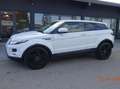 Land Rover Range Rover Evoque Prestige 2,2 SD4 Prestige Weiß - thumbnail 3