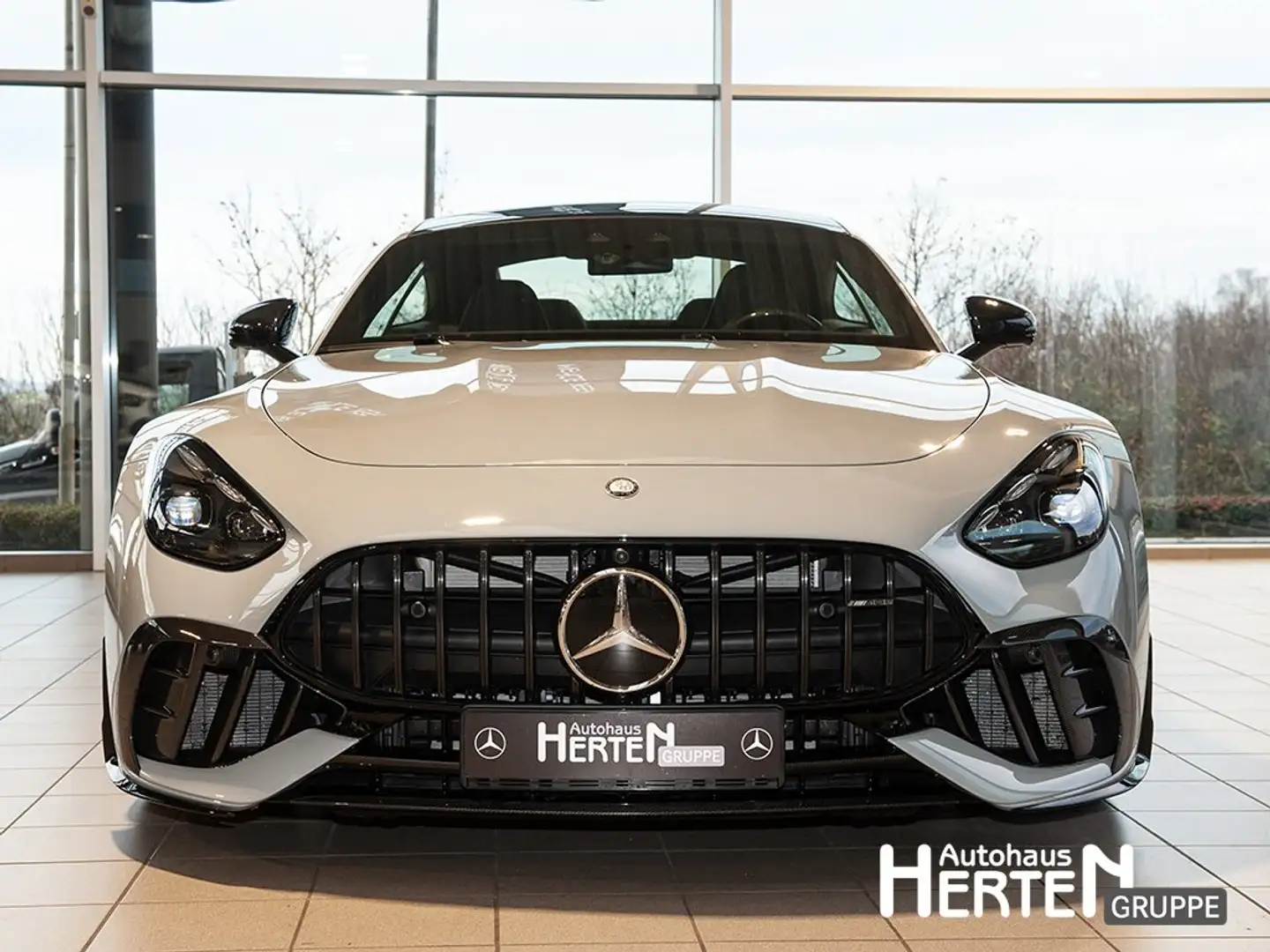 Mercedes-Benz AMG GT Mercedes-AMG GT 63 Pro 4M+PREMIUM+21"+NIGHT II+ Grau - 2