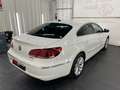 Volkswagen CC Passat CC 2.0TDI DSG/Tempo/BiXe/SHZ/Navi/Sports. Weiß - thumbnail 6