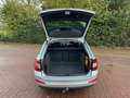Skoda Octavia Combi 1.6TDI GREENLINE NAV/CLIMA/LMV/CRUISE/NIEUWE Grau - thumbnail 20