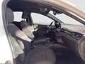 Ford Focus ST LINE 125CV Blanc - thumbnail 10