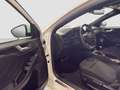 Ford Focus ST LINE 125CV Blanc - thumbnail 19