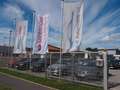 Ford Transit Kombi 310 L3 Trend-Behindertengerecht Wit - thumbnail 29