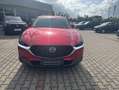 Mazda CX-30 2.5L e-SKYACTIV G 140ps Rouge - thumbnail 2
