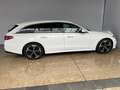 Mercedes-Benz E 300 E 300 de T AVANTGARDE Advanced/AHK/Disronic Navi Weiß - thumbnail 7