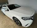 Mercedes-Benz E 300 E 300 de T AVANTGARDE Advanced/AHK/Disronic Navi Weiß - thumbnail 12
