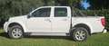 Great Wall Steed Steed 6 2022 DC 2.4 Premium Gpl 4wd Bianco - thumbnail 7