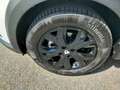 Dacia Jogger Jogger 1.0 tce Extreme  Gpl 100cv 7p Bianco - thumbnail 9