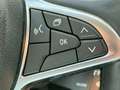 Dacia Jogger Jogger 1.0 tce Extreme  Gpl 100cv 7p Bianco - thumbnail 13