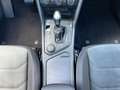 Volkswagen Tiguan 2,0 TDI 4X4 DSG Highline R-Line LED PANO Bianco - thumbnail 18