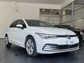 Volkswagen Golf 1.0 tsi evo life 110cv Bianco - thumbnail 3
