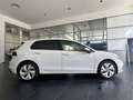 Volkswagen Golf 1.0 tsi evo life 110cv Bianco - thumbnail 4