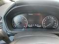 Ford EcoSport Bronze - thumbnail 7