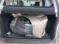 Ford EcoSport Bronze - thumbnail 18