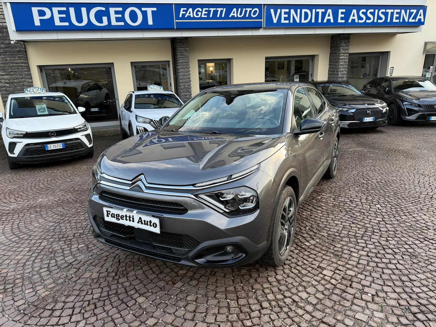 Citroen E-C4 X ELETTRICA 100kW PLUS OBC 11KW Gris - 1