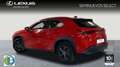 Lexus UX 250h Business 2WD Piros - thumbnail 2