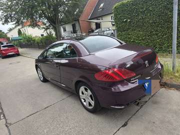 CC 135 Automatik
