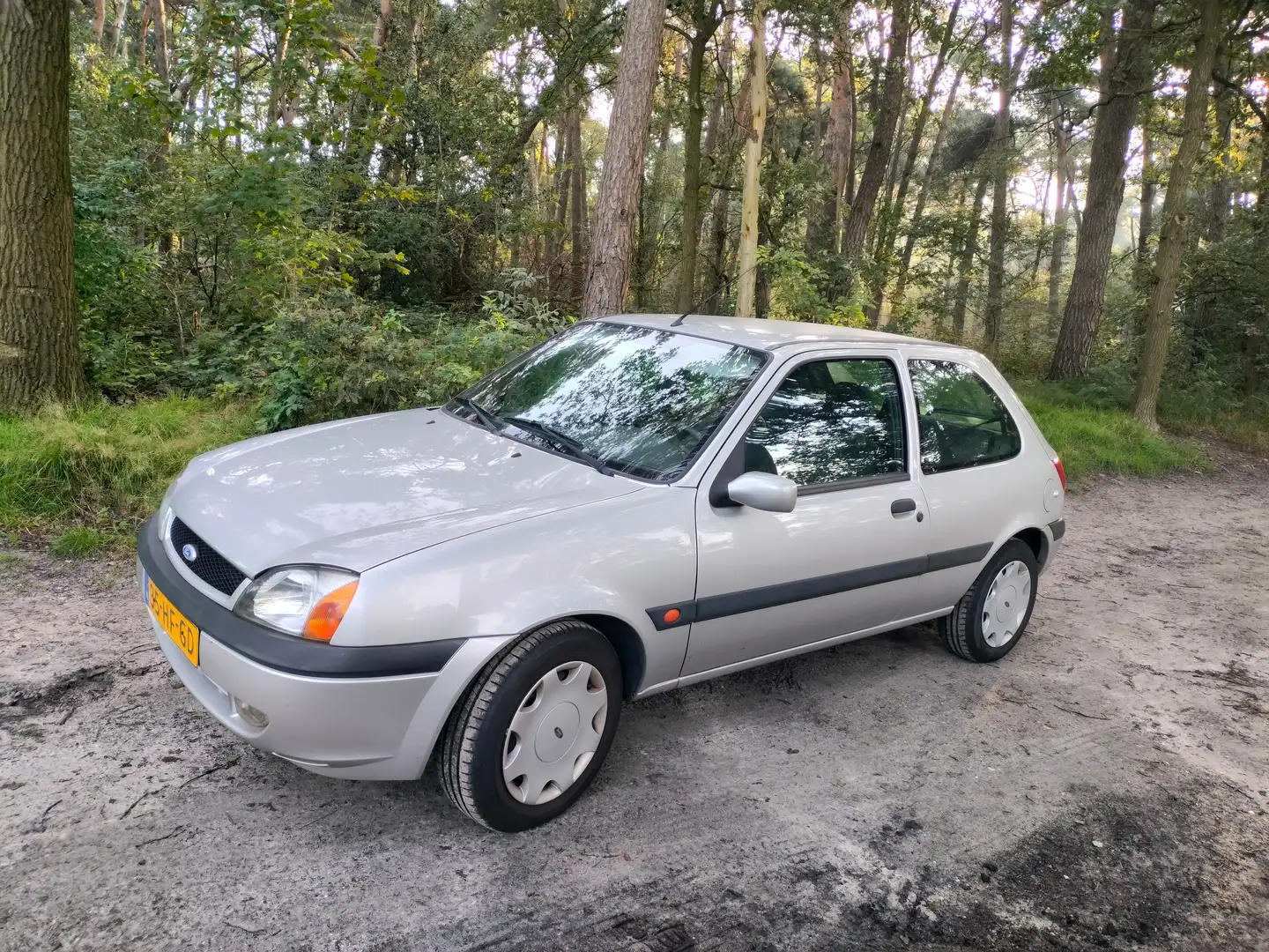 Ford Fiesta 1.25 collection Plateado - 2