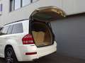 Mercedes-Benz GL 450 GL450 2007 4.7L V8  (Goed onderhouden & 7 zitter) Weiß - thumbnail 44