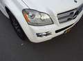 Mercedes-Benz GL 450 GL450 2007 4.7L V8  (Goed onderhouden & 7 zitter) Weiß - thumbnail 26