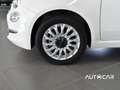 Fiat 500 500  1.0 hybrid Dolcevita 70cv Bianco - thumbnail 18