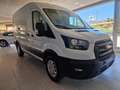 Ford Transit FT 350 L2 Van Trend 130 Blanco - thumbnail 5