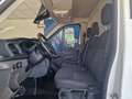 Ford Transit FT 350 L2 Van Trend 130 Blanco - thumbnail 7