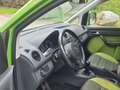 Volkswagen Caddy Cross 2,0 TDI DPF 4MOTION Grün - thumbnail 3