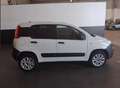 Fiat Panda Panda 0.9 TwinAir Turbo S&S 4x4 Pop Van 2 posti " Weiß - thumbnail 5
