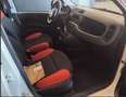 Fiat Panda Panda 0.9 TwinAir Turbo S&S 4x4 Pop Van 2 posti " Weiß - thumbnail 13
