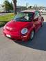 Volkswagen New Beetle Cabrio 1.9 tdi 105cv - thumbnail 1