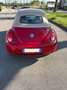 Volkswagen New Beetle Cabrio 1.9 tdi 105cv - thumbnail 4