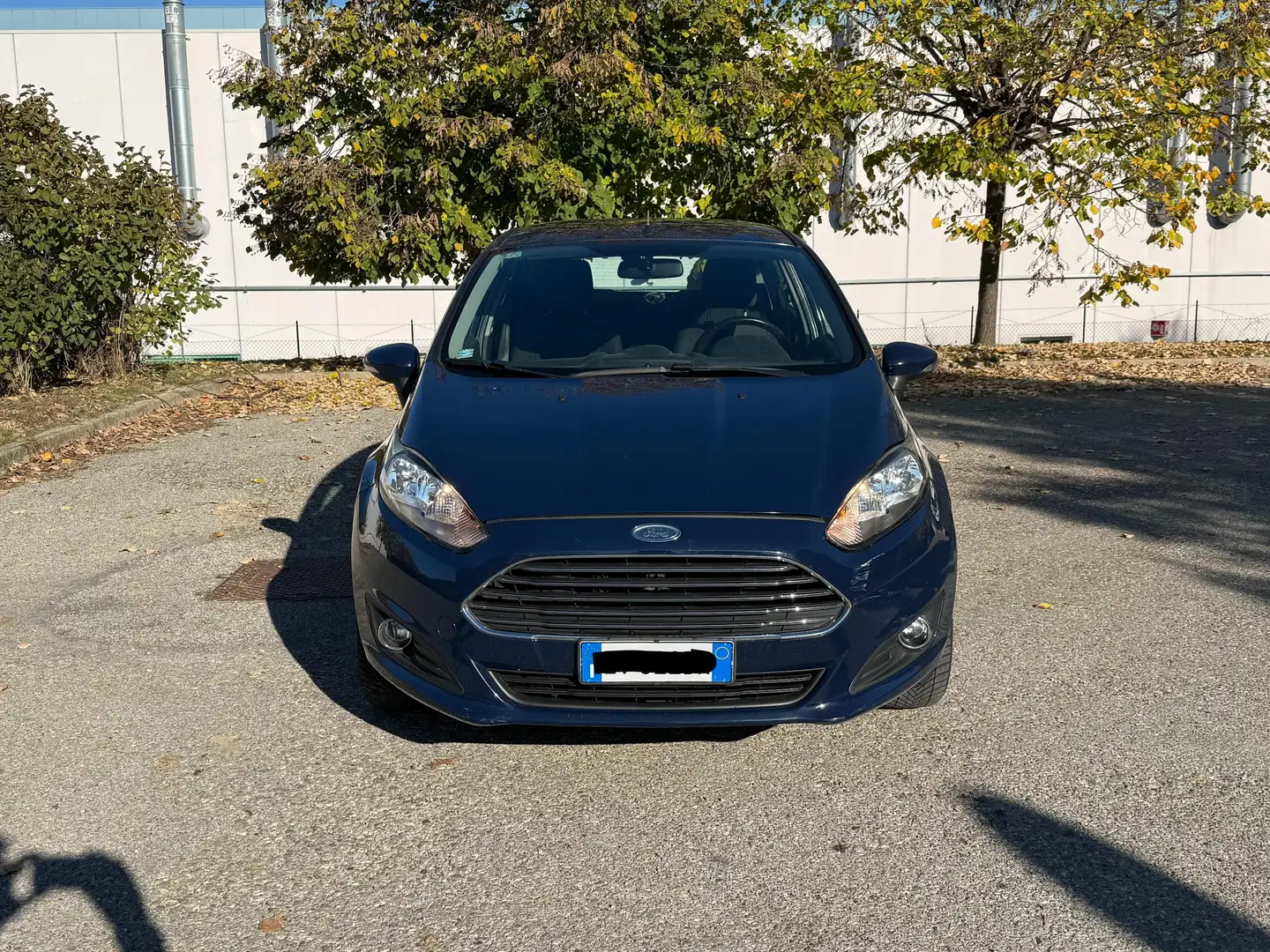 Ford Fiesta Fiesta 5p 1.4 Gpl 92cv Blauw - 2