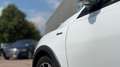 Ford Focus Lim. Active*LED*ACC*KAMERA*APP*NAVI*WINTER Weiß - thumbnail 4