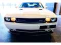 Dodge Challenger 6,4 V8 BM6 SRT8 Weiß - thumbnail 9