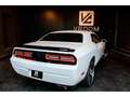 Dodge Challenger 6,4 V8 BM6 SRT8 477cv Weiß - thumbnail 10