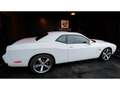 Dodge Challenger 6,4 V8 BM6 SRT8 477cv Weiß - thumbnail 17